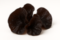 Black Fungus