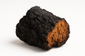 Chaga