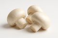 White Button Mushroom